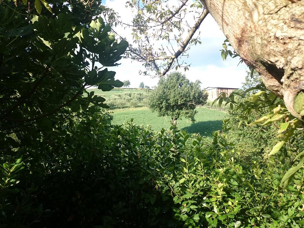 Country House Villa Sabrina San Ginesio Exterior foto